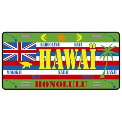 Plaque métal Hawaï