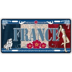 Plaque métal France - Femme et chien
